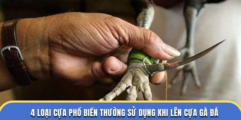 4 loại cựa phổ biến tại đá gà thomo thường sử dụng khi lên cựa gà đá