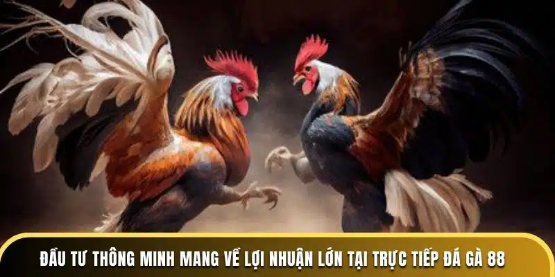 Dagathomo đầu tư thông minh mang về lợi nhuận lớn tại trực tiếp đá gà 88 