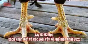 vảy gà đá đẹp đá gà thomo